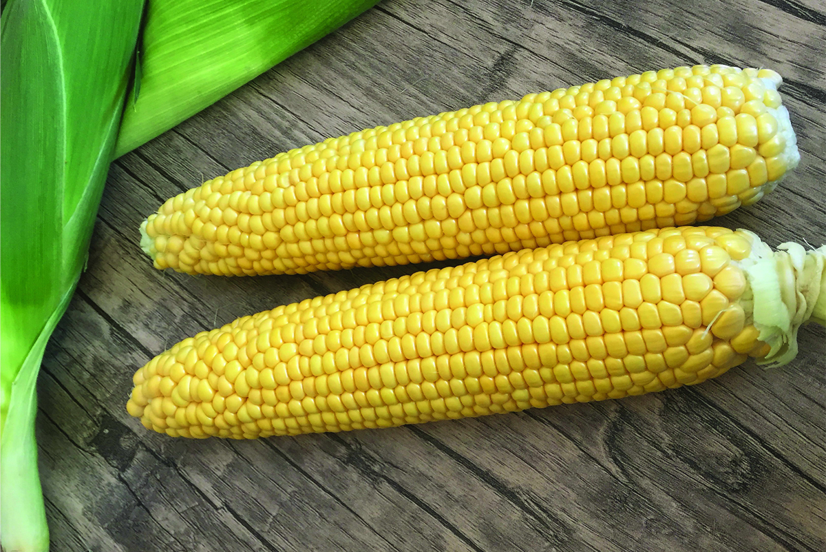 Methods of Minimizing Harvest Losses