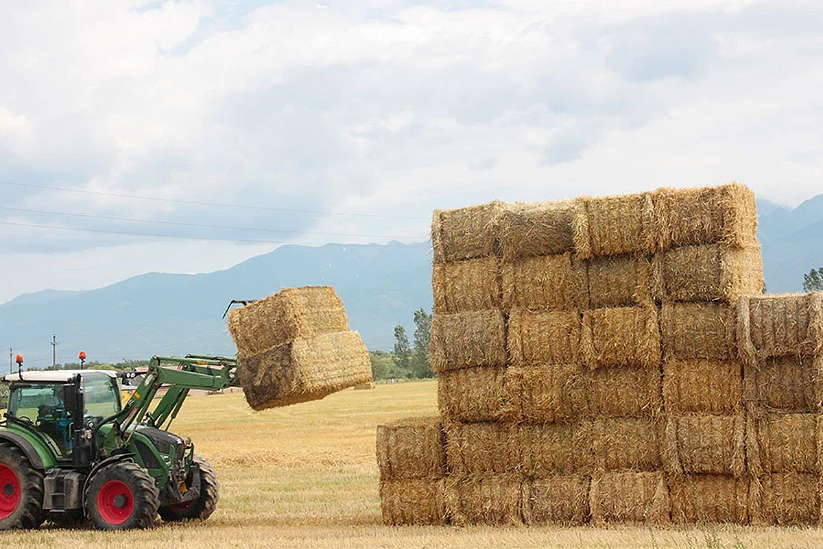 Baling Systems Time and Cost Management